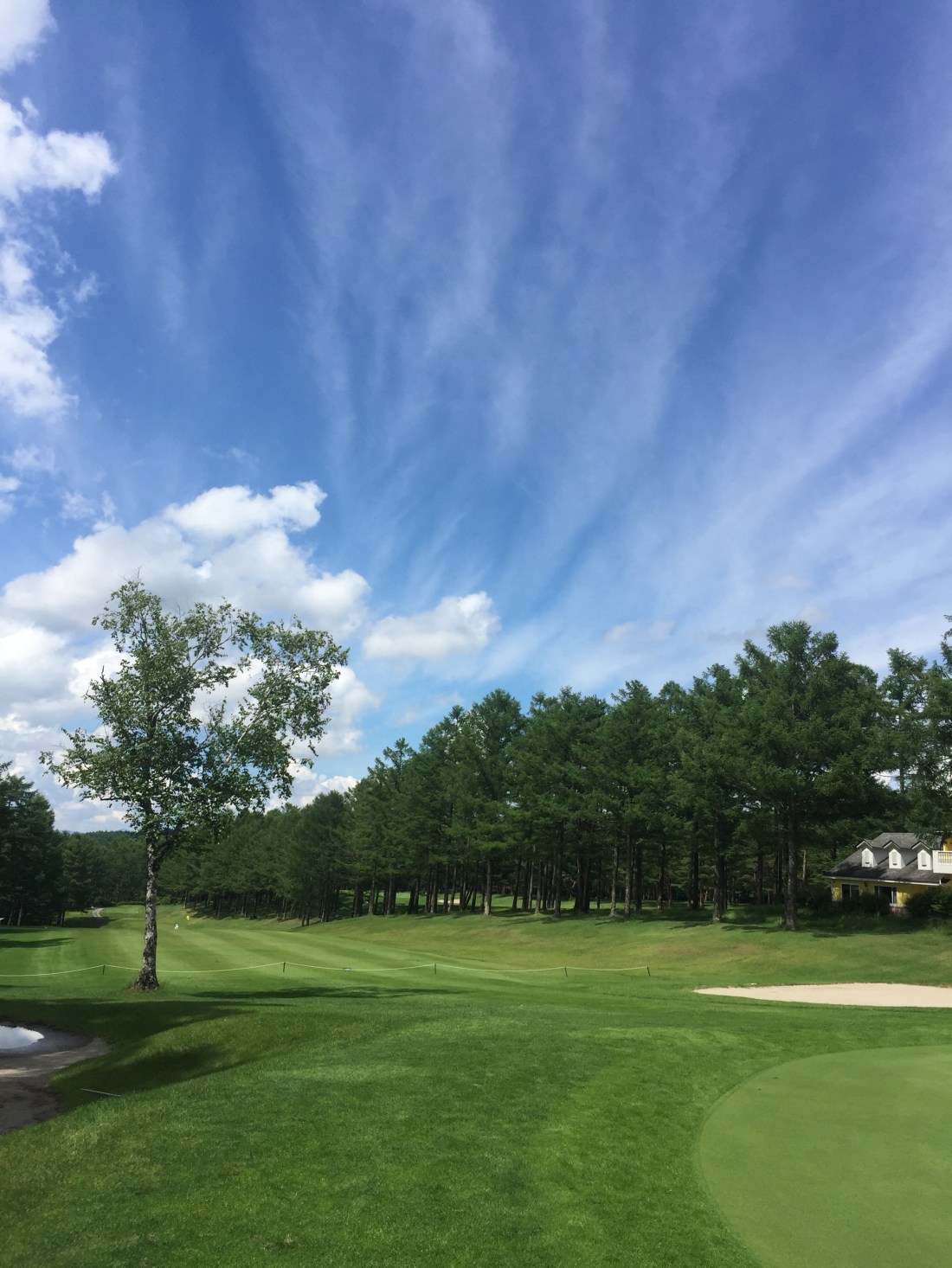 A186C6A6-130C-4939-B6B8-811C4CEC7D65