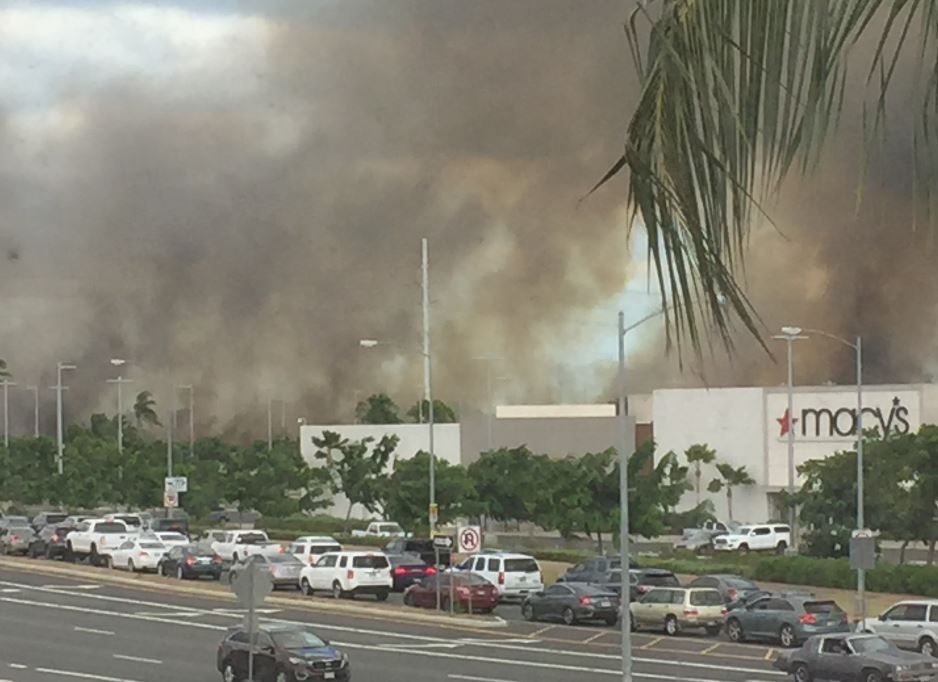 カポレイブラッシュF