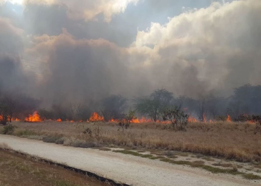 カポレイ火事２