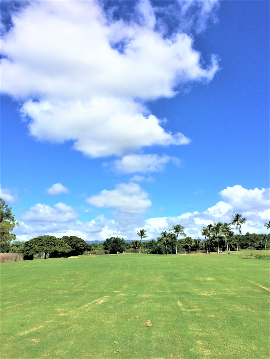 ウェストロック４