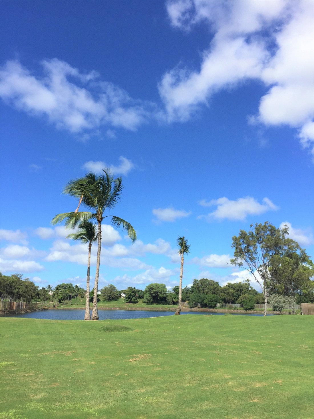 ウェスト・ロック１